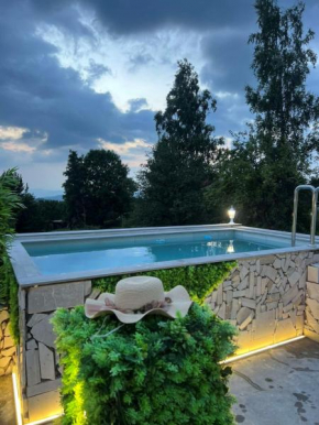 Villa Sarajevo Jacuzzi & Swimming Pool